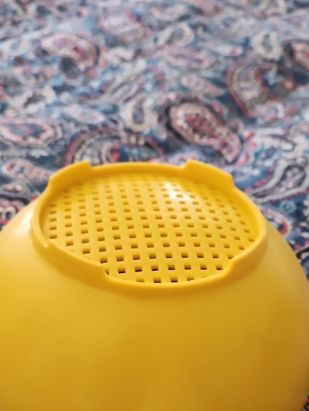 Small Tupperware Strainer - Picture 3 of 6
